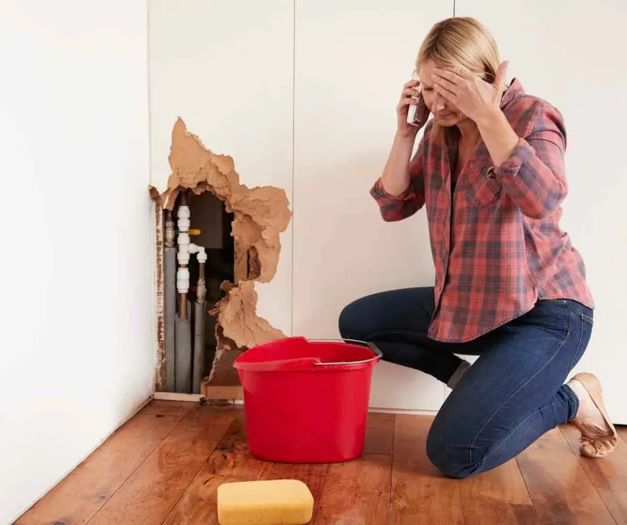 Ceiling Leak Water Damage in Southwest Fort Worth